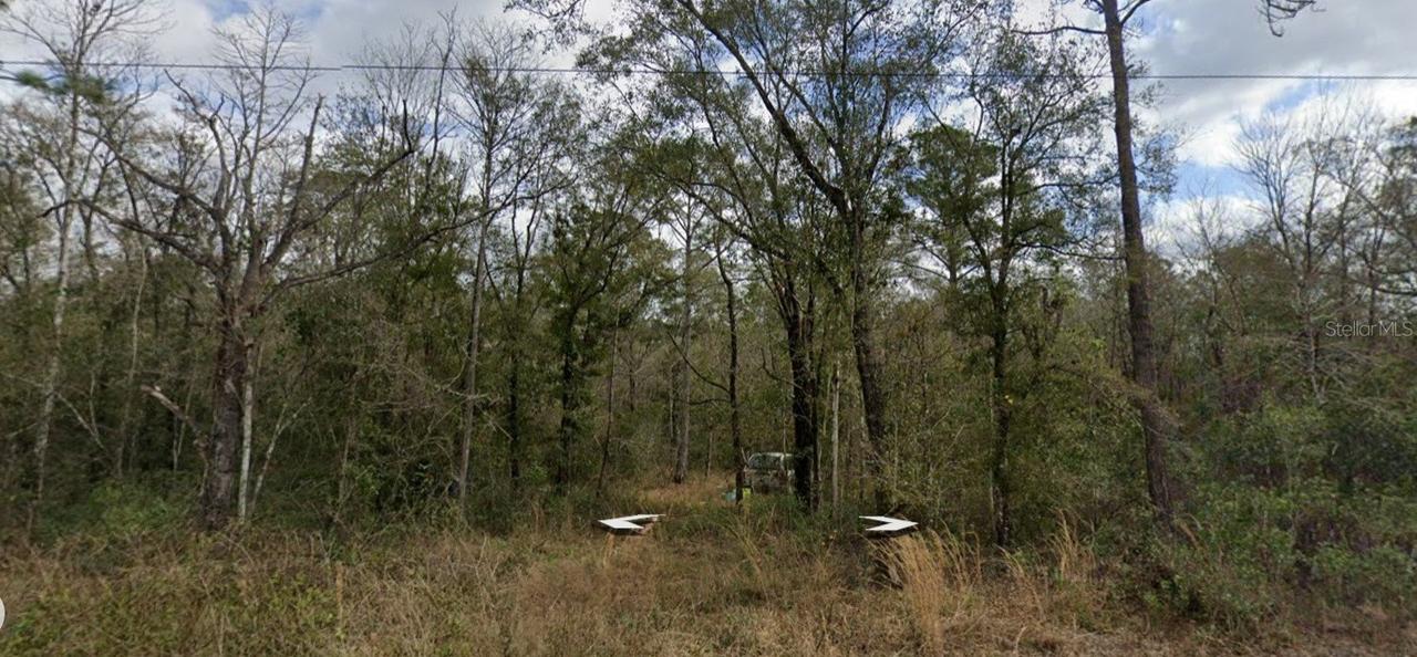 10230 Nikolich Ave., Hastings, FL 32145