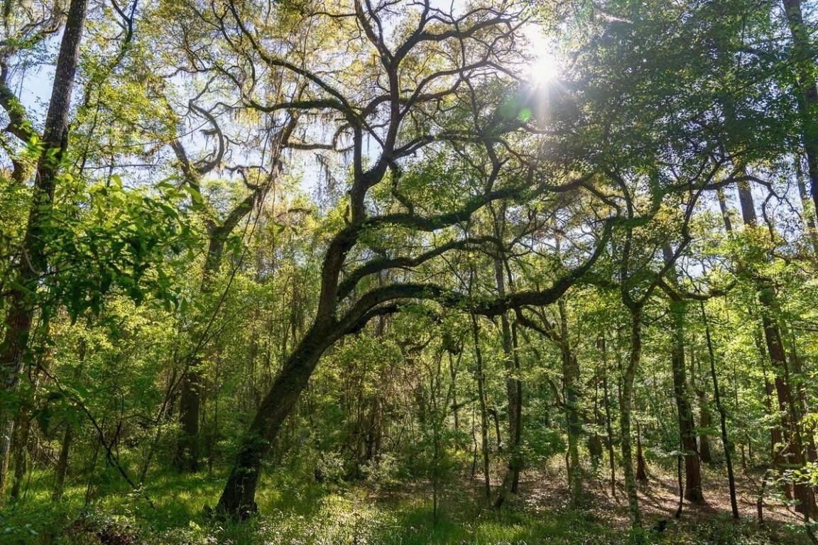 TBD LOT 10 10th Ter. #LOT 10, Live Oak, FL 32060