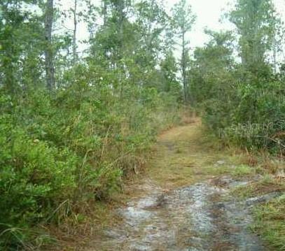 1890 Dill Rd., Orlando, FL 32820