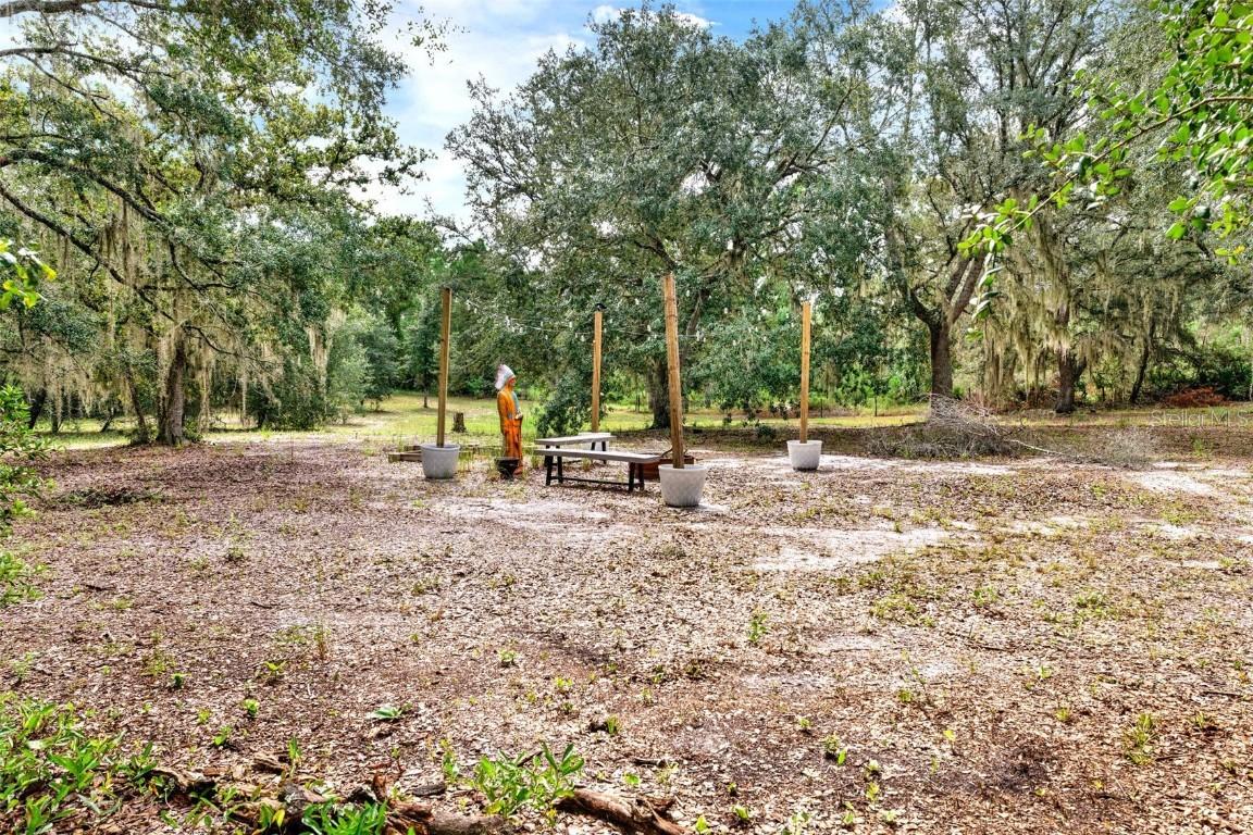 Blackwater Oaks Dr., Eustis, FL 32736