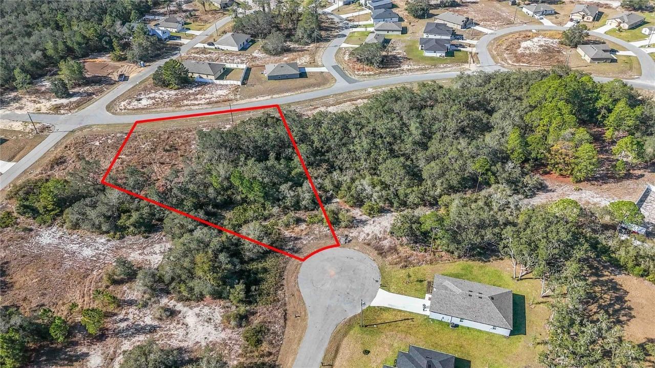 320 Bowfin Ln., Kissimmee, FL 34759