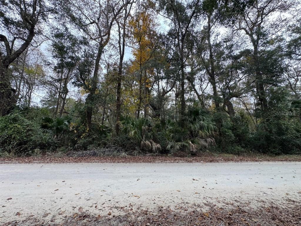 NE 142 Pl., Anthony, FL 32617