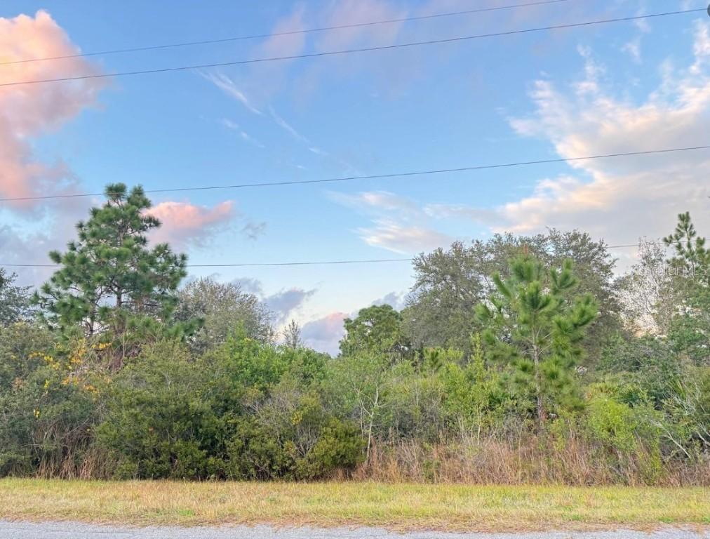 00 Robertson St., Orlando, FL 32833