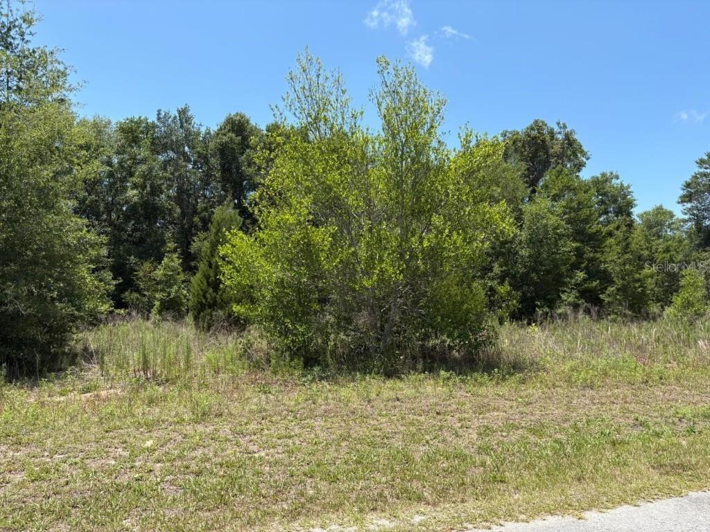 6658 N Flower Ter., Hernando, FL 34442