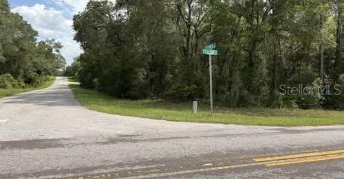 6658 N Flower Ter., Hernando, FL 34442