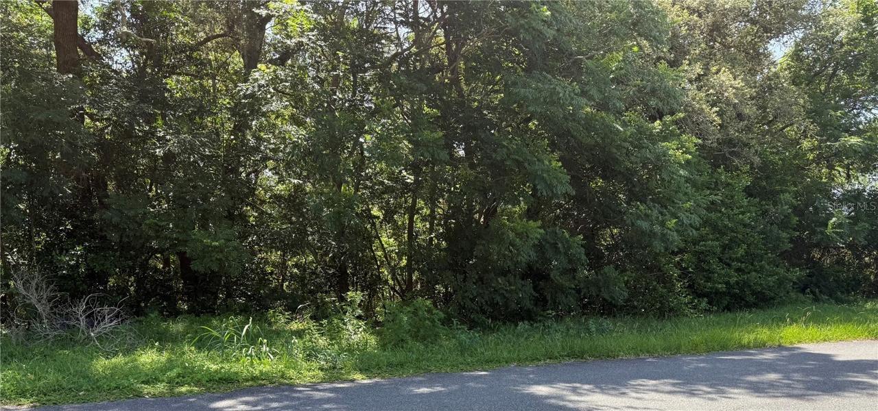 Hutchison Way, Lady Lake, FL 32159