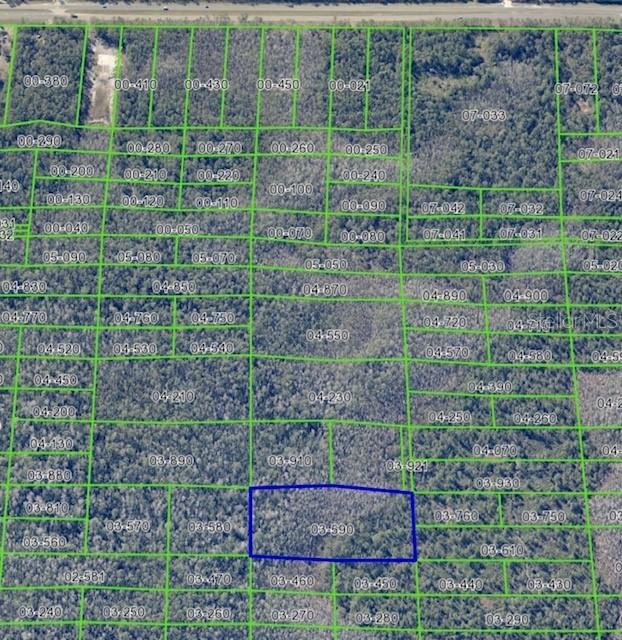 Dill Rd., Christmas, FL 32709