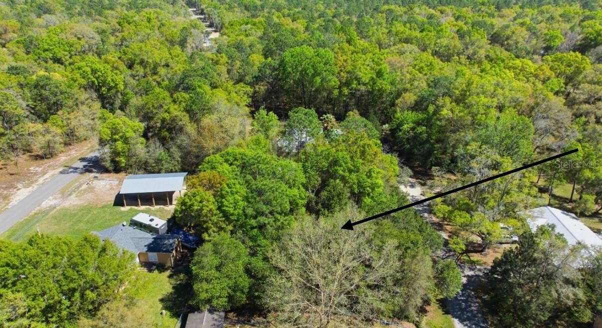 NE 4th Ln., Williston, FL 32696