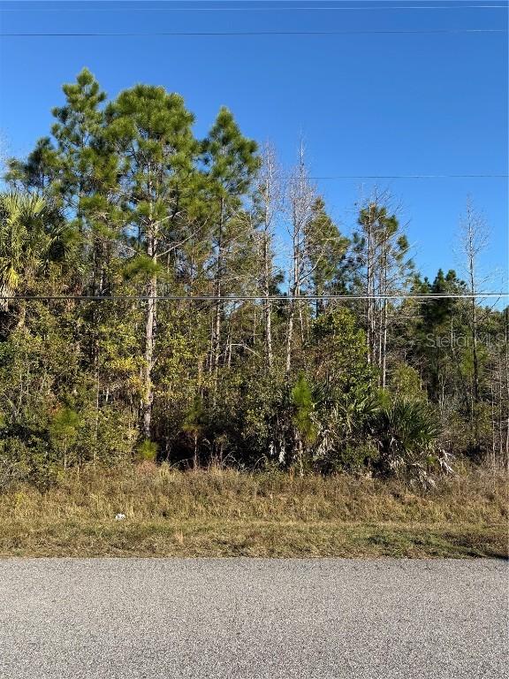 Starry St., Orlando, FL 32833