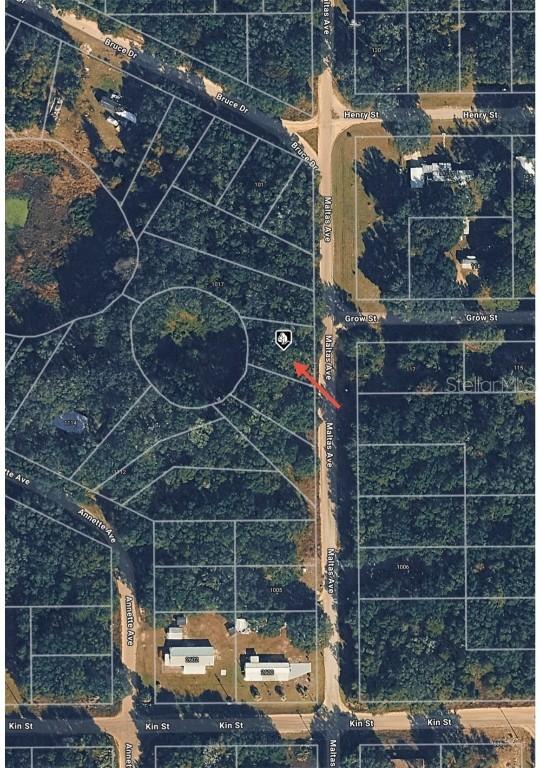 TBD Maltas Ave., Interlachen, FL 32148