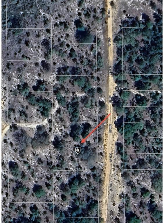 TBD 13th St., Interlachen, FL 32148