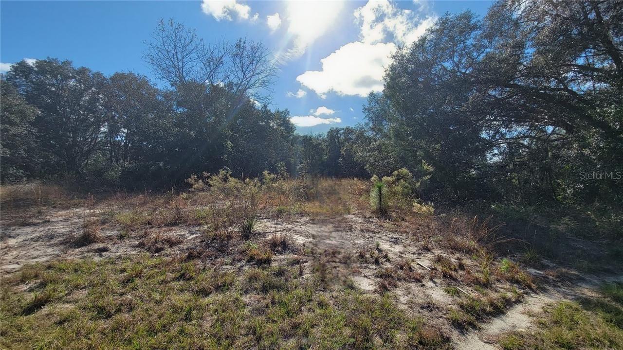 194 SW 131st Ln., Ocala, FL 34473