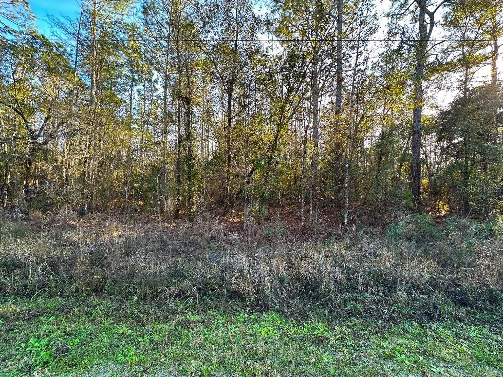 Lot 428 Division St., Hastings, FL 32145
