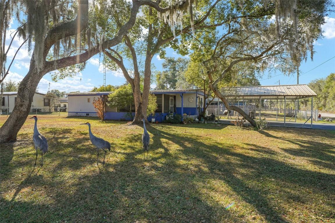 18486 SE 52nd St., Ocklawaha, FL 32179