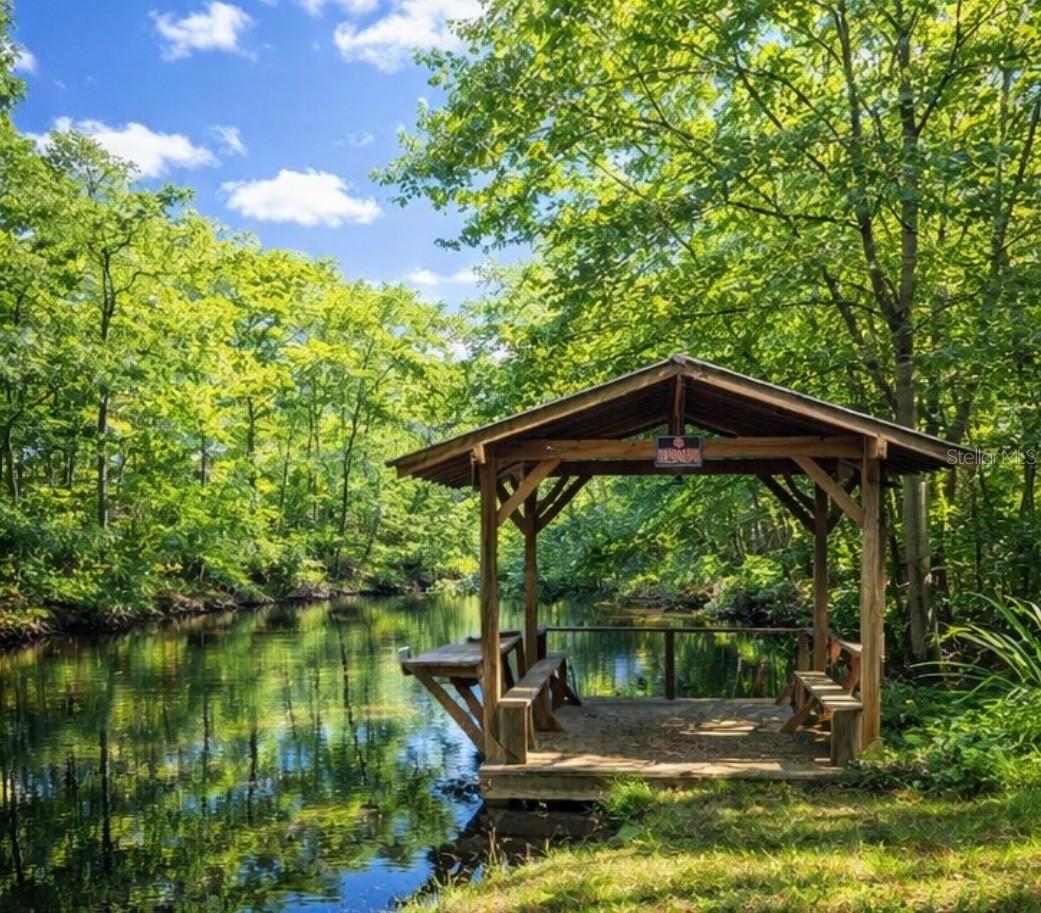 12811 E Big Buck Tr., Floral City, FL 34436