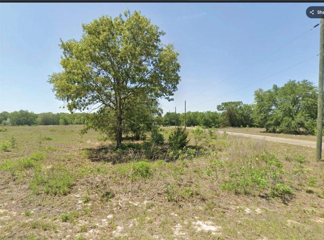 00 Guava Track Tr., Ocklawaha, FL 32179