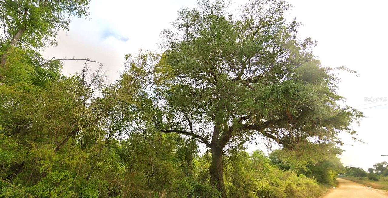 Tower Rd., Bascom, FL 32423