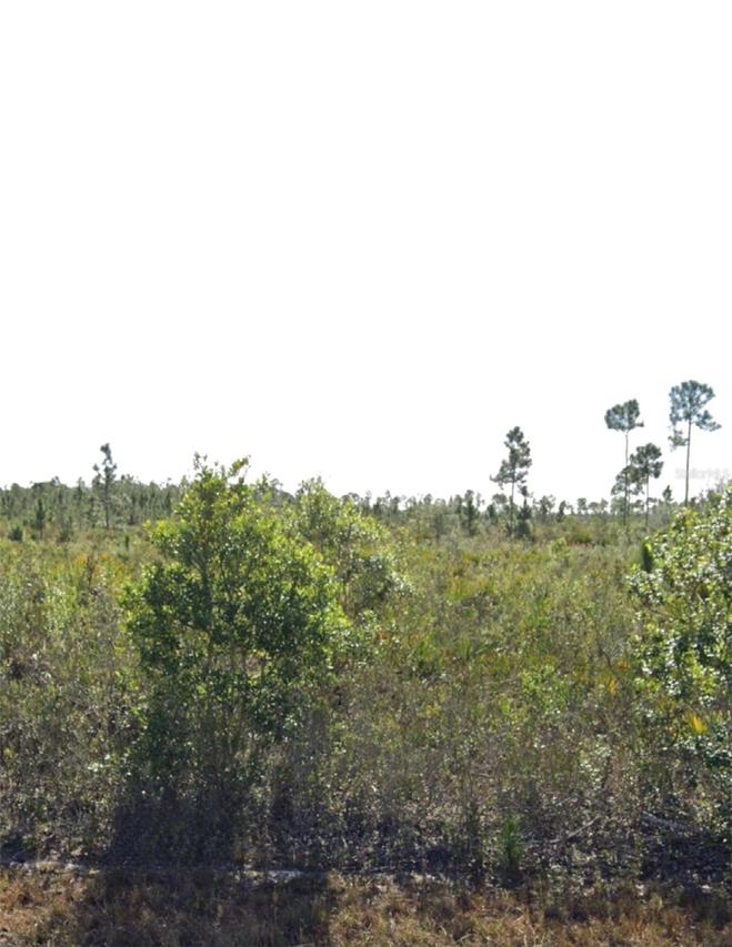 903 Calliandra Dr., Indian Lake Estates, FL 33855