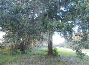 566 Sioux Blvd., Oak Hill, FL 32759