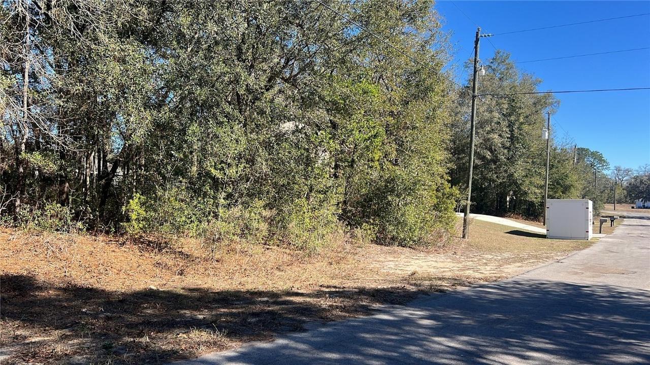 2559 W Castle Rd., Citrus Springs, FL 34434