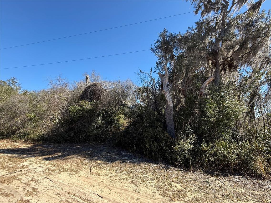 15215 NE 246th Ter., Fort Mc Coy, FL 32134