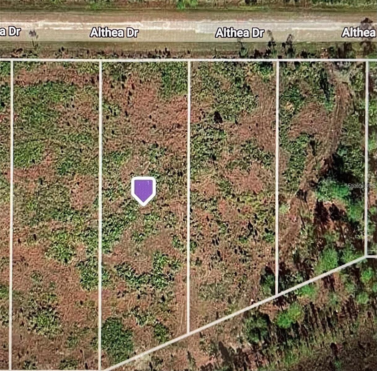 Althea Dr., Lake Wales, FL 33898