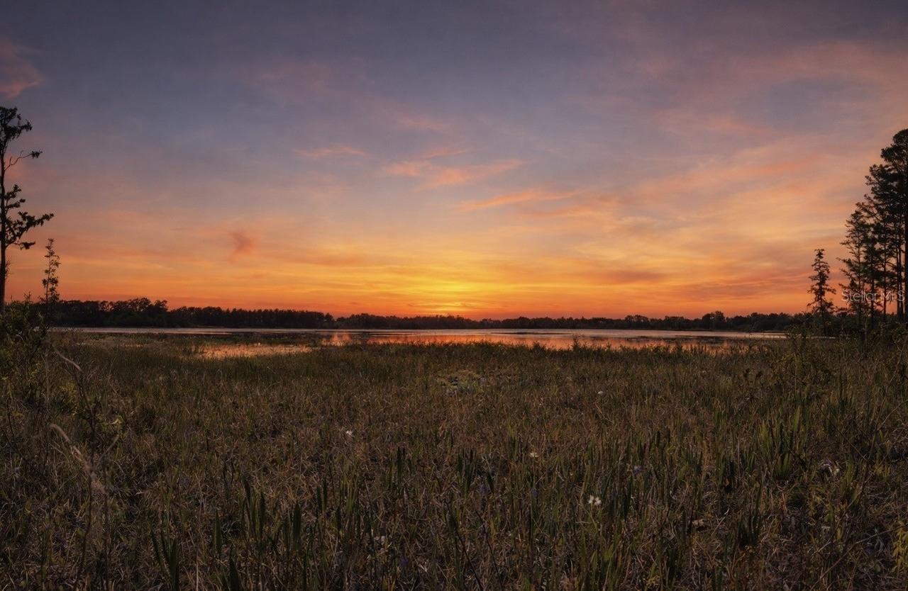 8335 Florida Boys Ranch Rd., Groveland, FL 34736