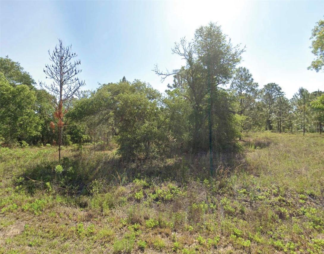 SW Floral Ct., Dunnellon, FL 34431