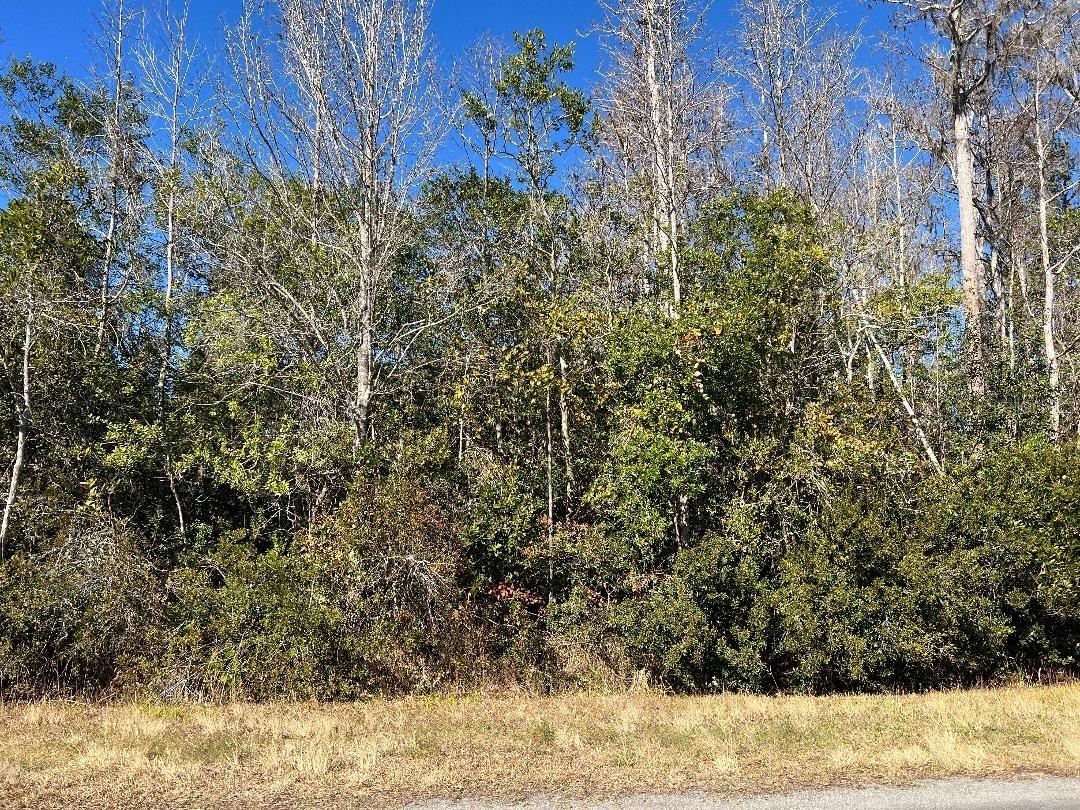 Netherland St., Orlando, FL 32833