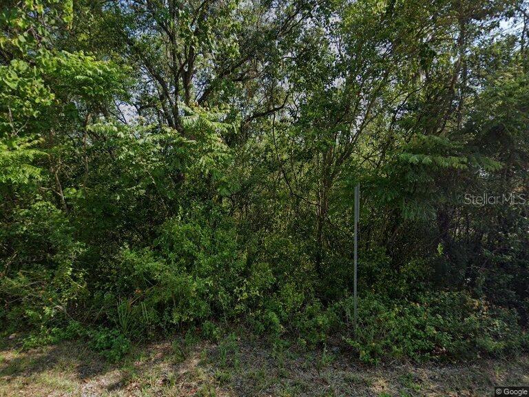 916 Pineaire St., Inverness, FL 34452