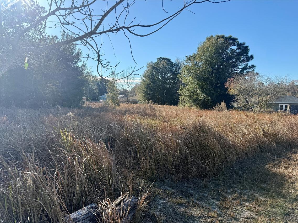 Dogwood Loop Ct., Ocala, FL 34472