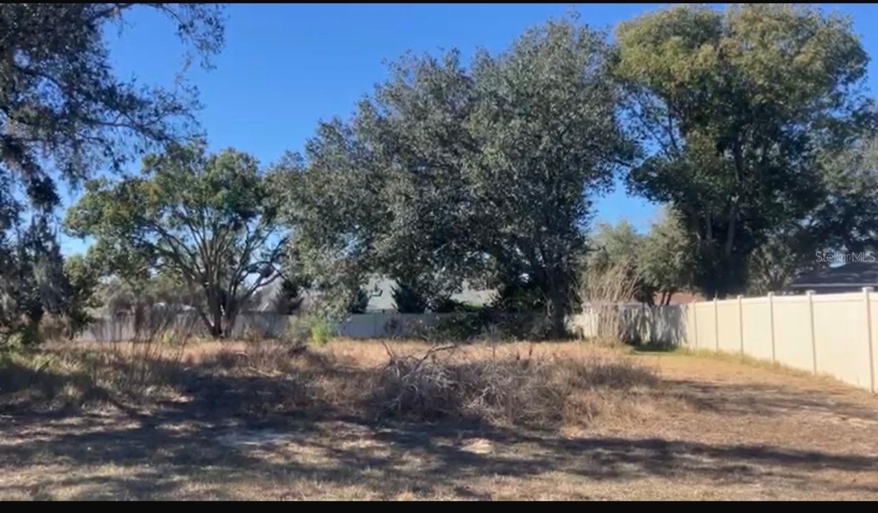 TBD SW 161st St., Ocala, FL 34473