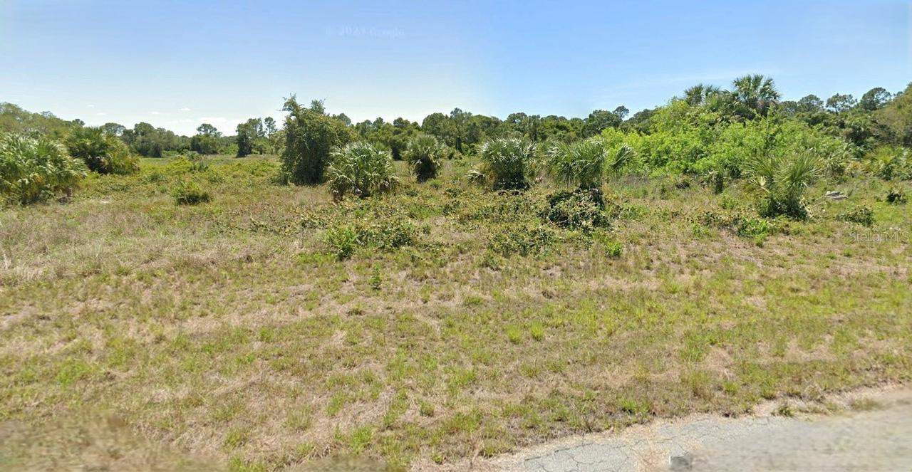 206 John Young Ter., Labelle, FL 33935