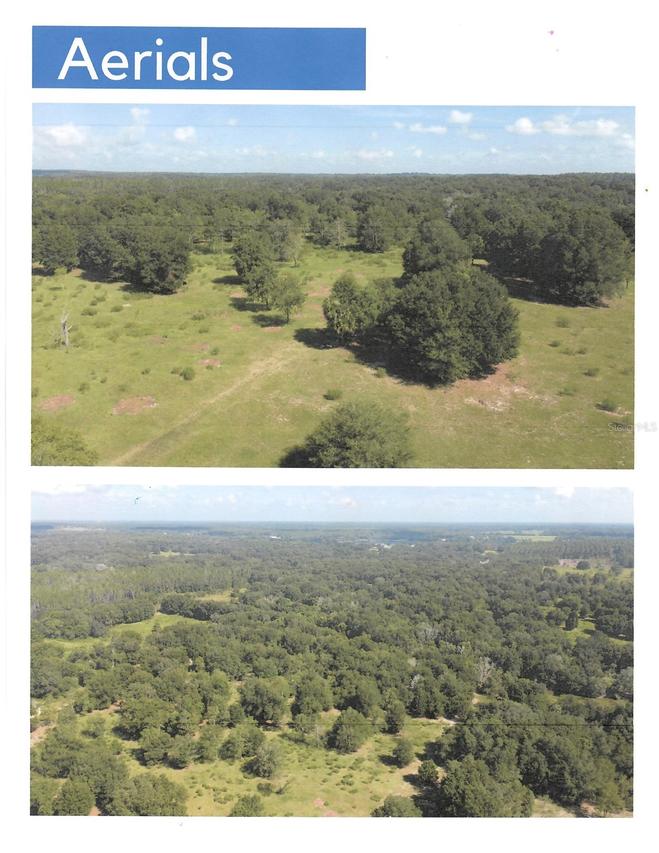 Hwy 44 Ave., Eustis, FL 32726