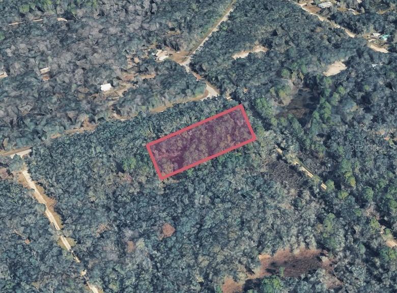 9211 Rousseau St., Webster, FL 33597