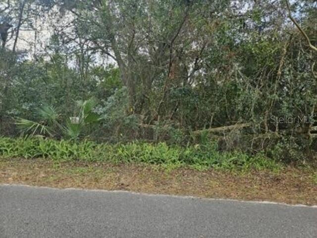 11119 Bessie Dix Rd., Seffner, FL 33584