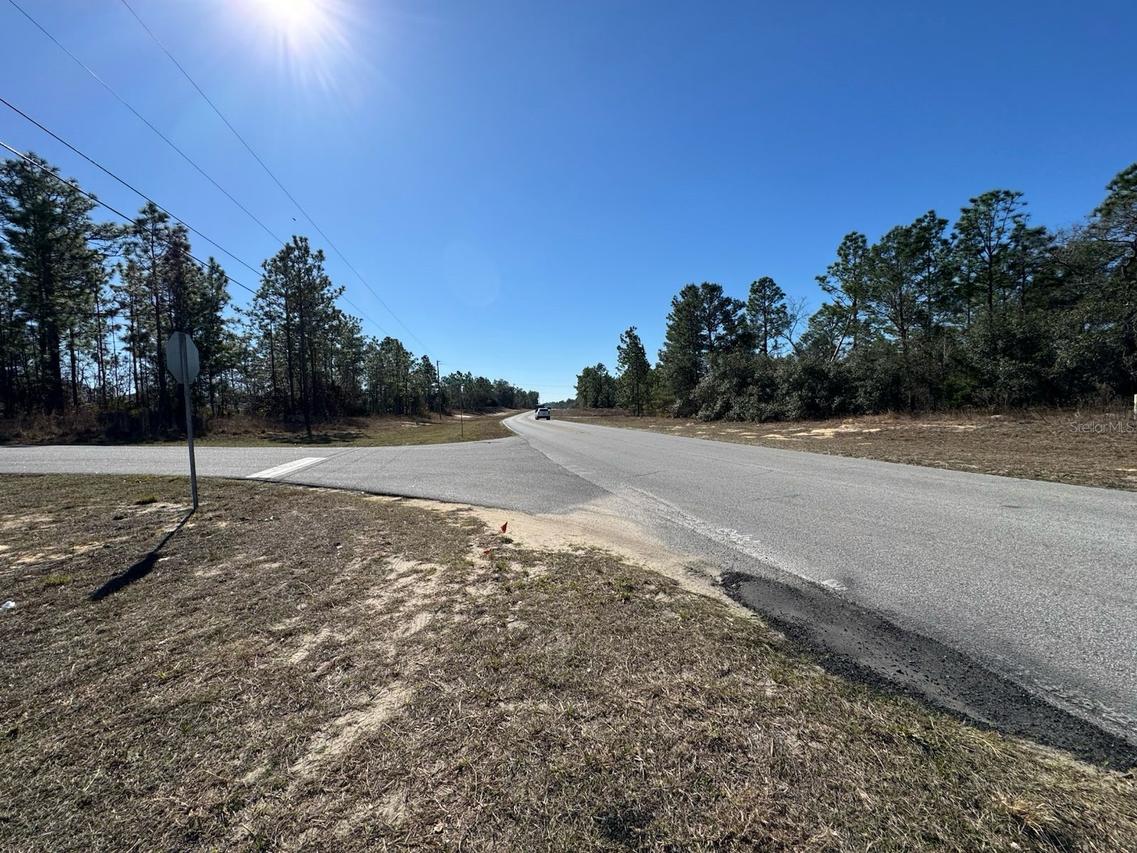 2595 W Chamberlain St., Citrus Springs, FL 34434