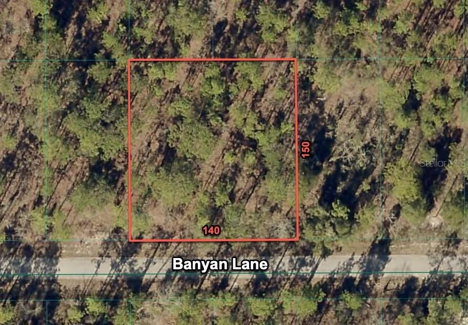 24309 NW Banyan Ln., Dunnellon, FL 34431