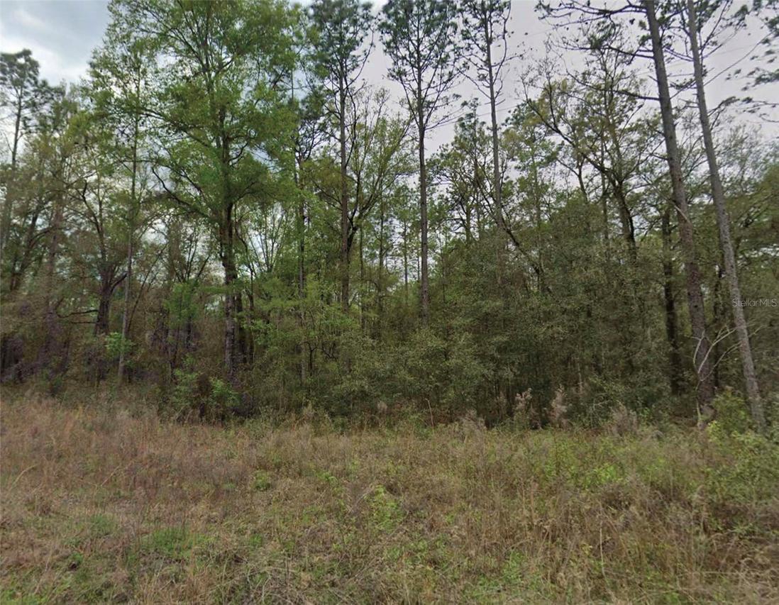SW 159th Avenue Rd., Ocala, FL 34481