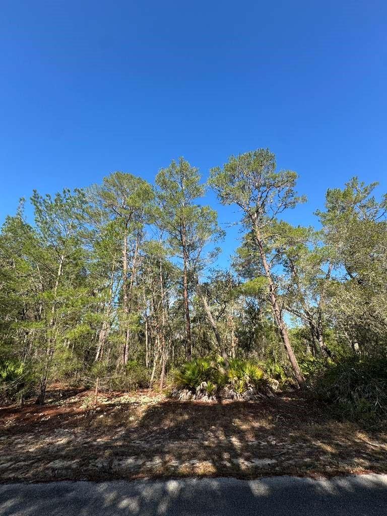 [Address Hidden by Seller], Ocklawaha, FL 32179