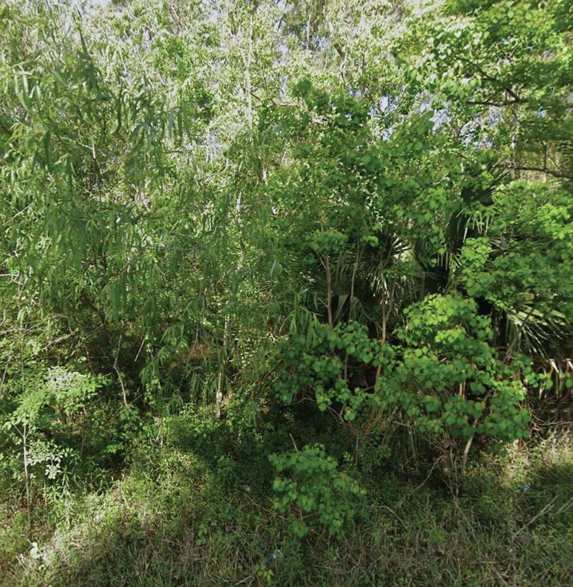 NE 132nd Ave., Silver Springs, FL 34488