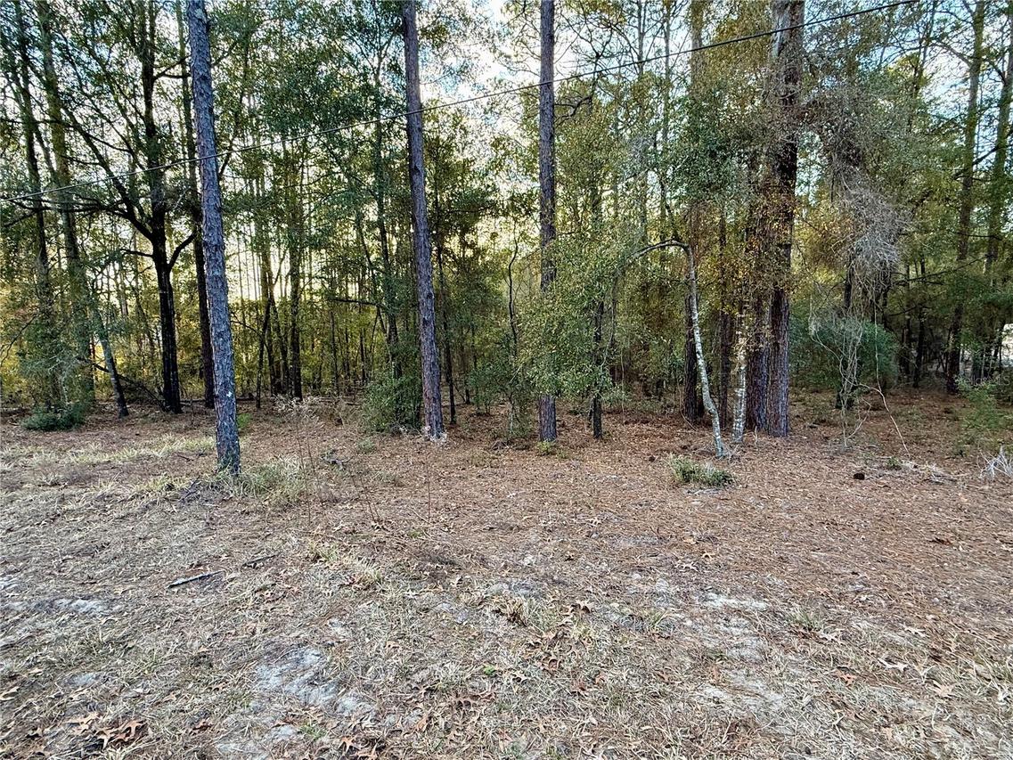 SW Sw 205th Circle Cir., Dunnellon, FL 34431