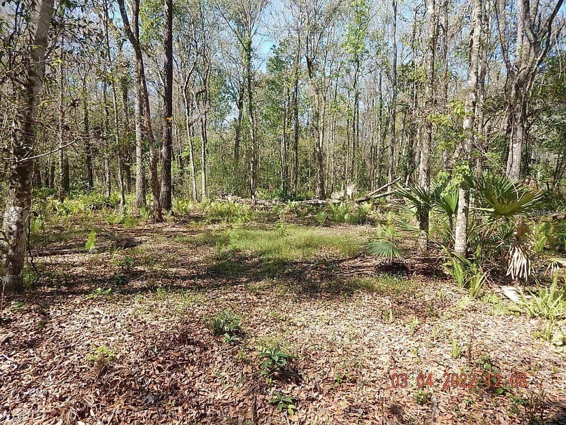 1026 Buist St., Orlando, FL 32828