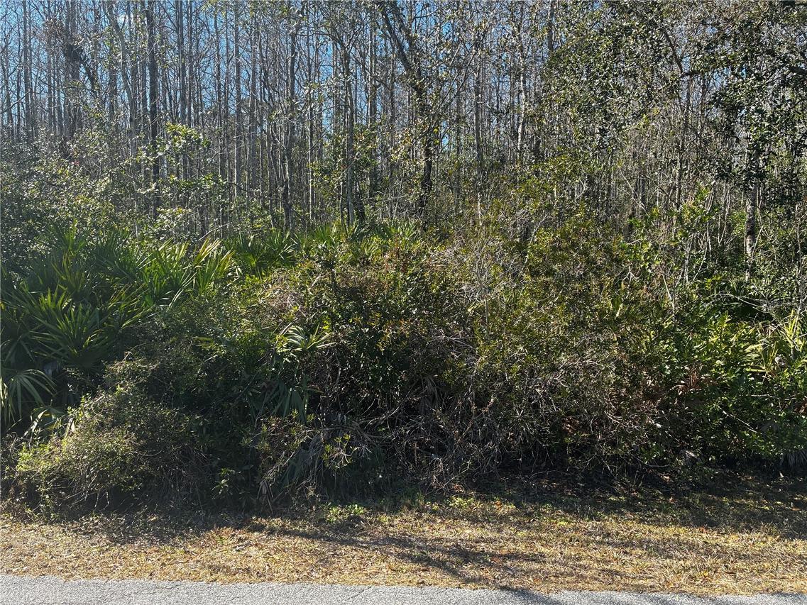 1228 Murdock Blvd., Orlando, FL 32825