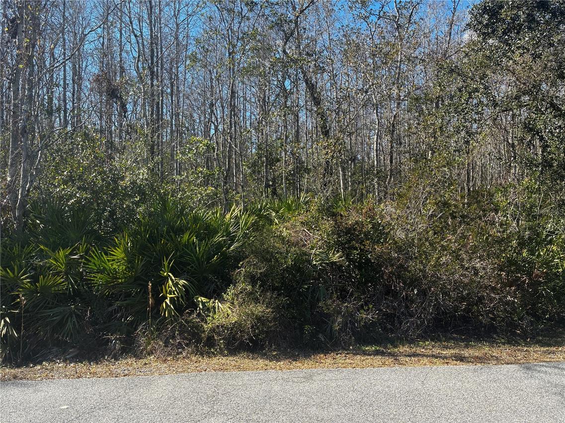 1214 Murdock Blvd., Orlando, FL 32825