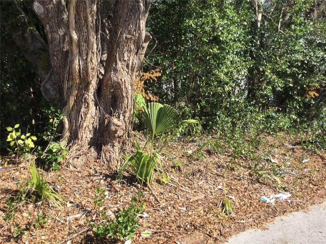 537 W Division St., Deland, FL 32720