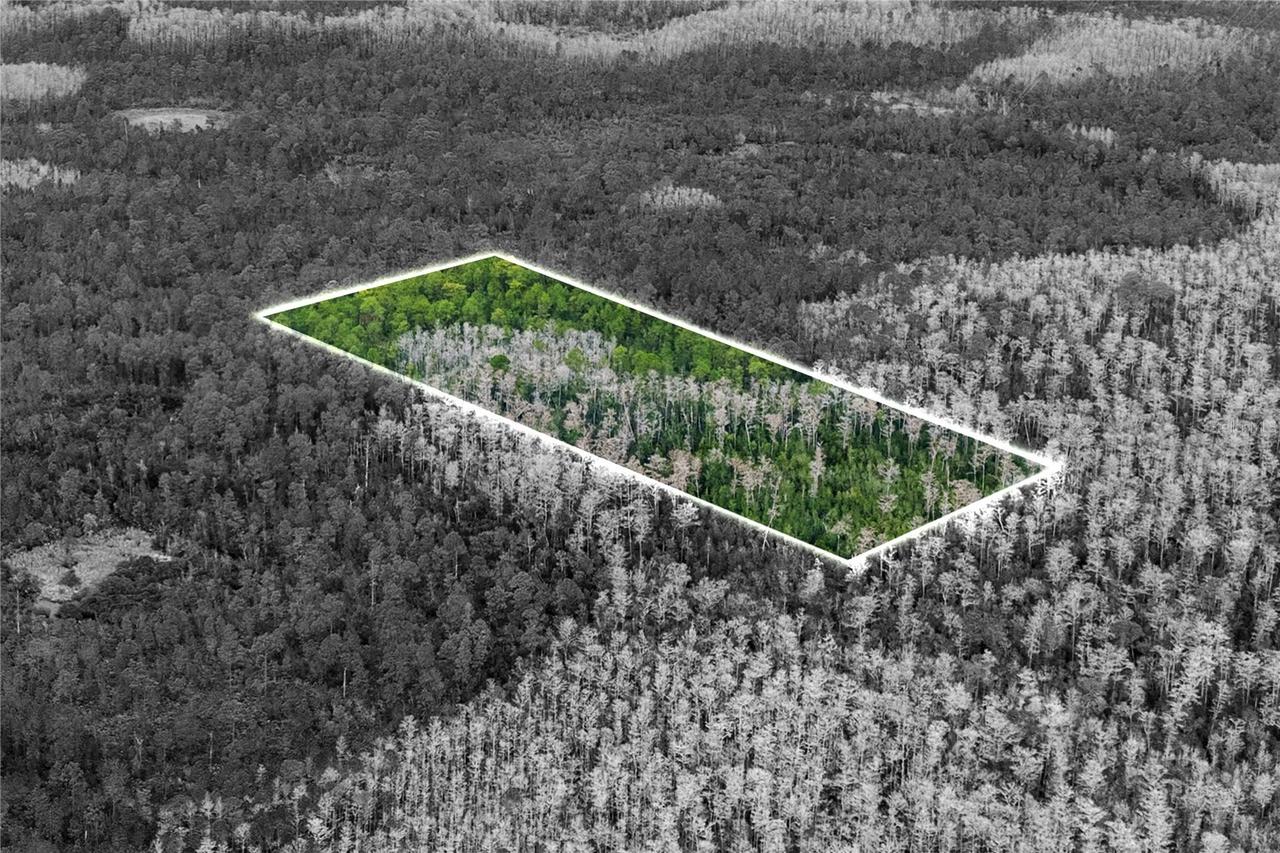 Dill Rd., Orlando, FL 32820