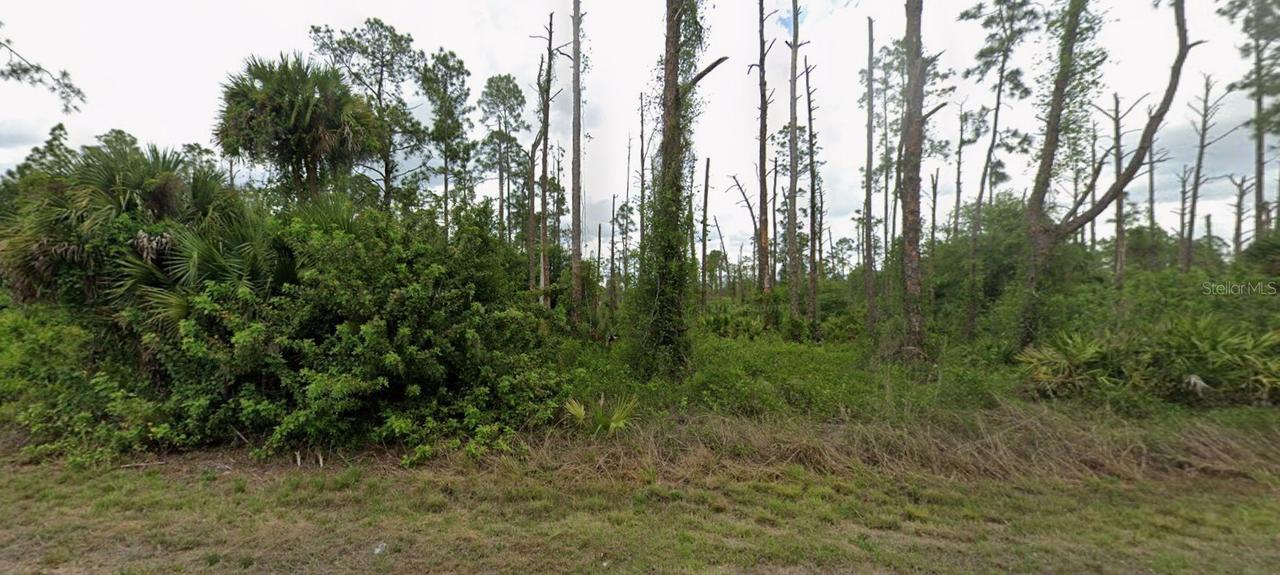 3703 E 9th St., Lehigh Acres, FL 33972