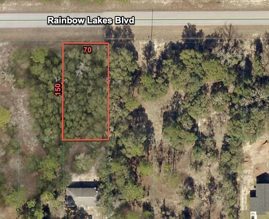 23020 SW Rainbow Lakes Blvd., Dunnellon, FL 34431