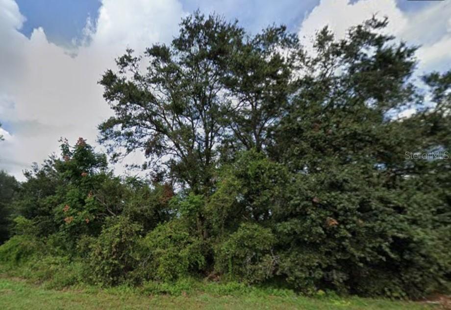 627 Citrus Grove Blvd., Polk City, FL 33868